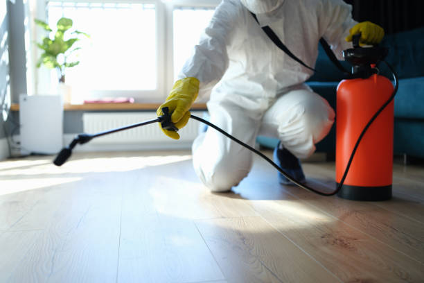 Reliable Odor Removal contractor in Hudson, SD by Trauma Clean Pros